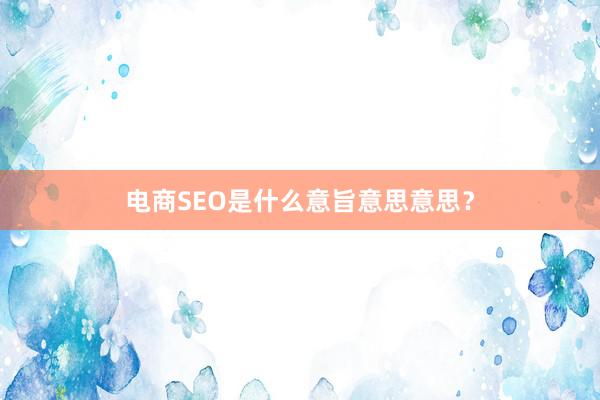电商SEO是什么意旨意思意思？