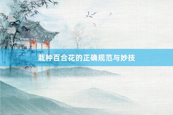 栽种百合花的正确规范与妙技