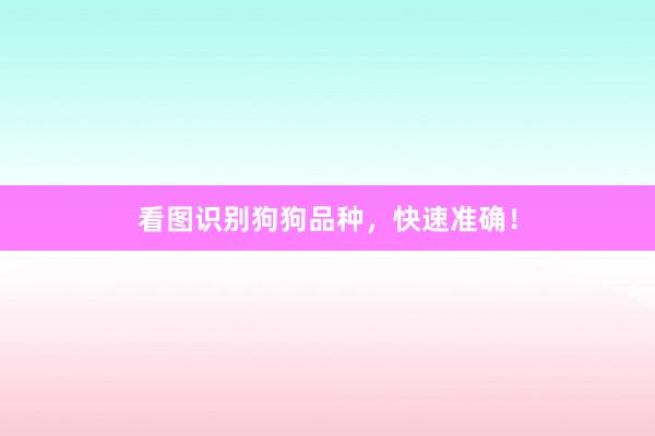 看图识别狗狗品种，快速准确！